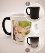 Mug Mágico Personalizado Con Tus Mascotas, Collage 4, (6 fotos)
