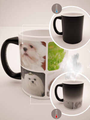 Mascotas 9 (2)