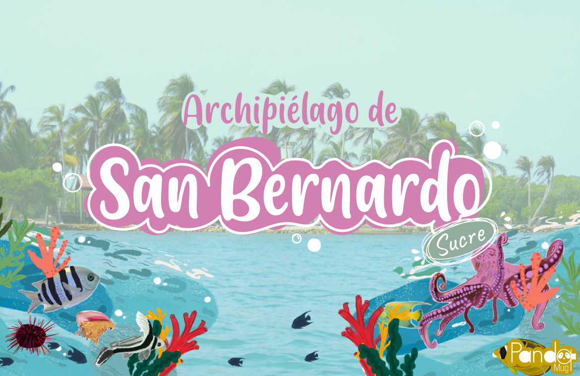 San-Bernardo-Portada