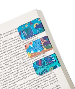 Set Separadores de Libro Multicolor