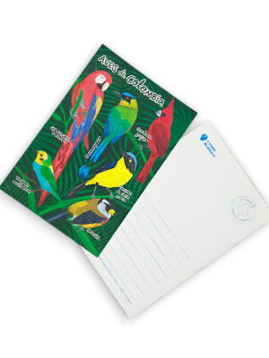 Postal aves de Colombia2