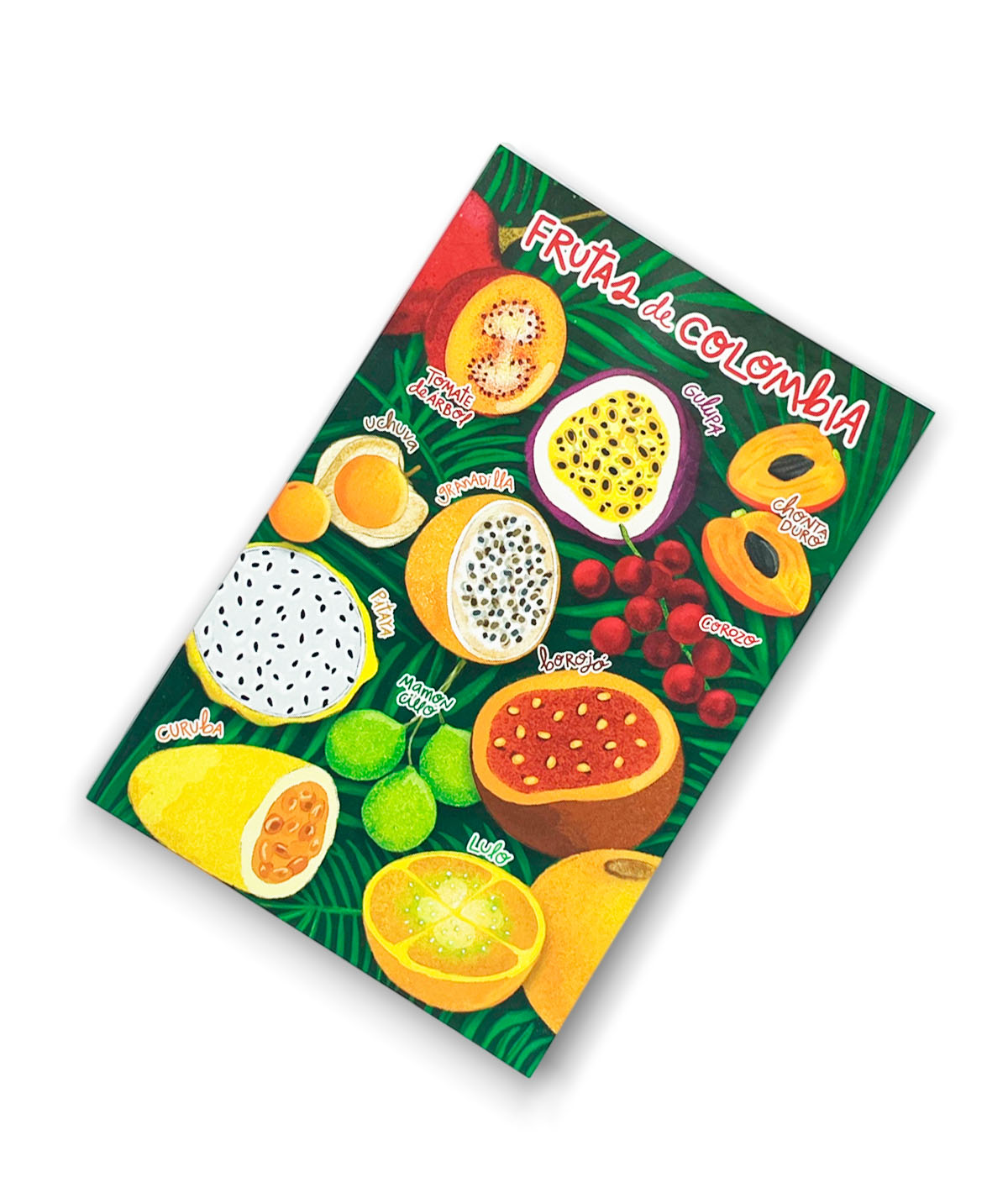 Postal Ranas de Colombianas | Pandamug