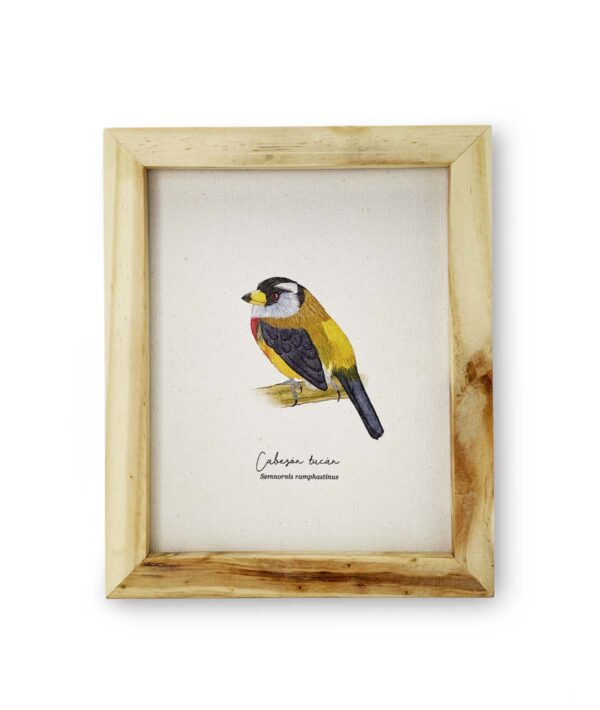 Arte Aves de Colombia
