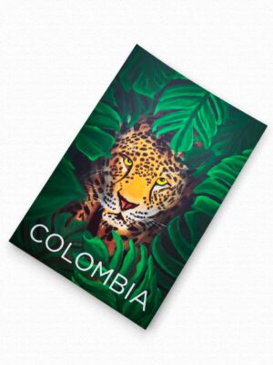Postal Tigre