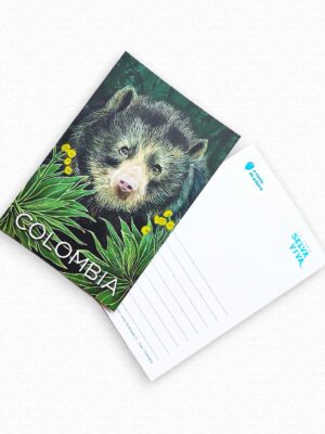 Postal oso de anteojos de colombia