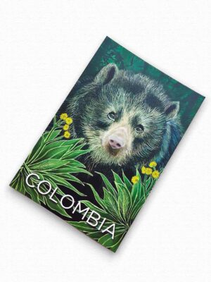 Postal Oso de Anteojos
