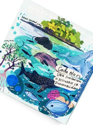 Portavasos pacifico colombiano 2
