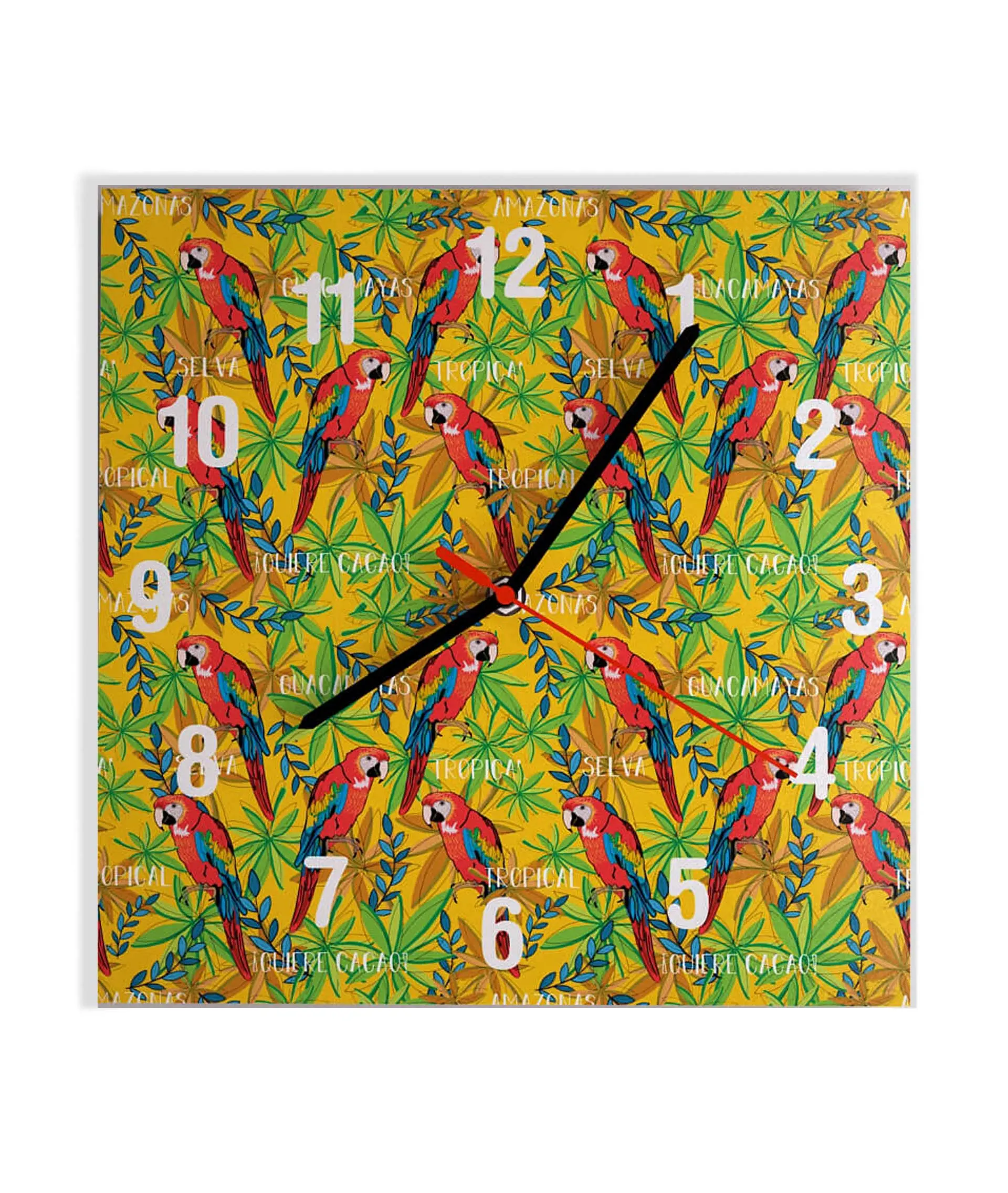 reloj guacamayas