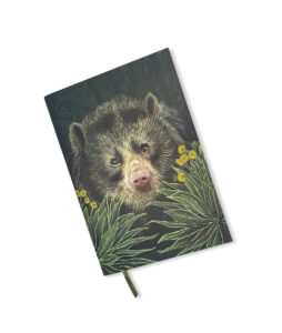 Libreta Oso de Páramo Colombiano