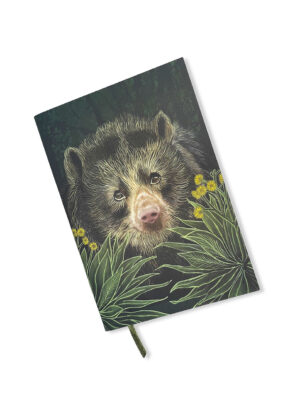 Libreta Oso de Páramo Colombiano