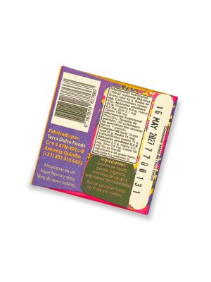 Barra de Chocolate Oscuro Artesanal con Arándanos 2